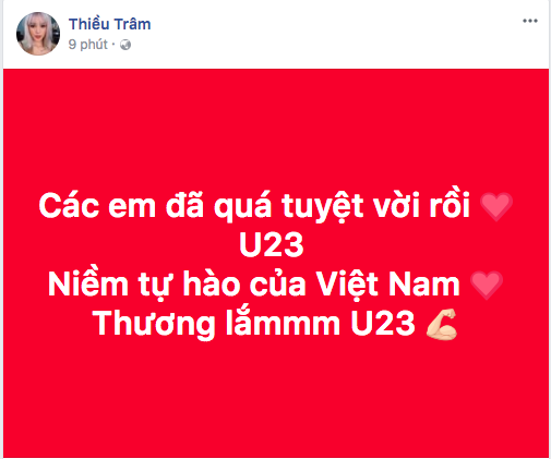 Sao Việt,  U23 Việt Nam, chung kết Việt Nam gặp Uzbekistan